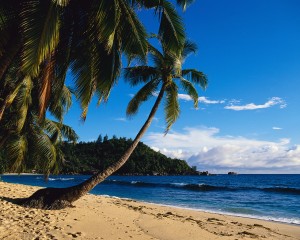 Beach in the Seychelles